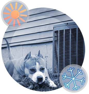 HVAC and Dog